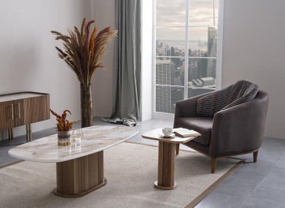 Luxury Coffee table Living room Furniture Side table Luxury Design Furnishings